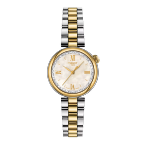 TISSOT Desir 28mm Ladies Watch T1520102211801