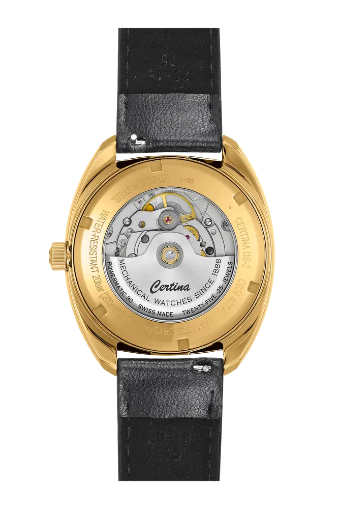 DS-2 40mm Mens Watch C0244073736100