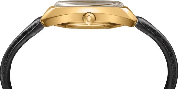 DS-2 40mm Mens Watch C0244073736100