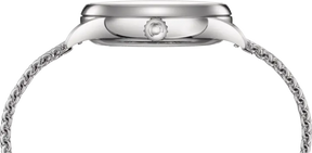 DS-1 Big Date 60th Anniversary 41mm Mens Watch C0294261109160