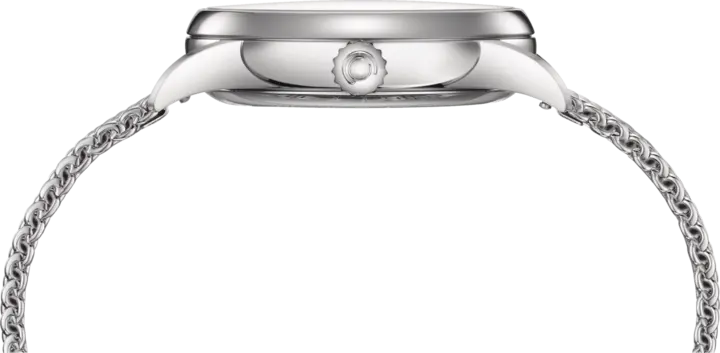 DS-1 Big Date 60th Anniversary 41mm Mens Watch C0294261109160