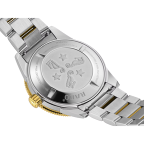 RADO Captain Cook Automatic 42mm R32138303