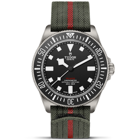 TUDOR Pelagos FXD 42mm Watch M25717N-0001