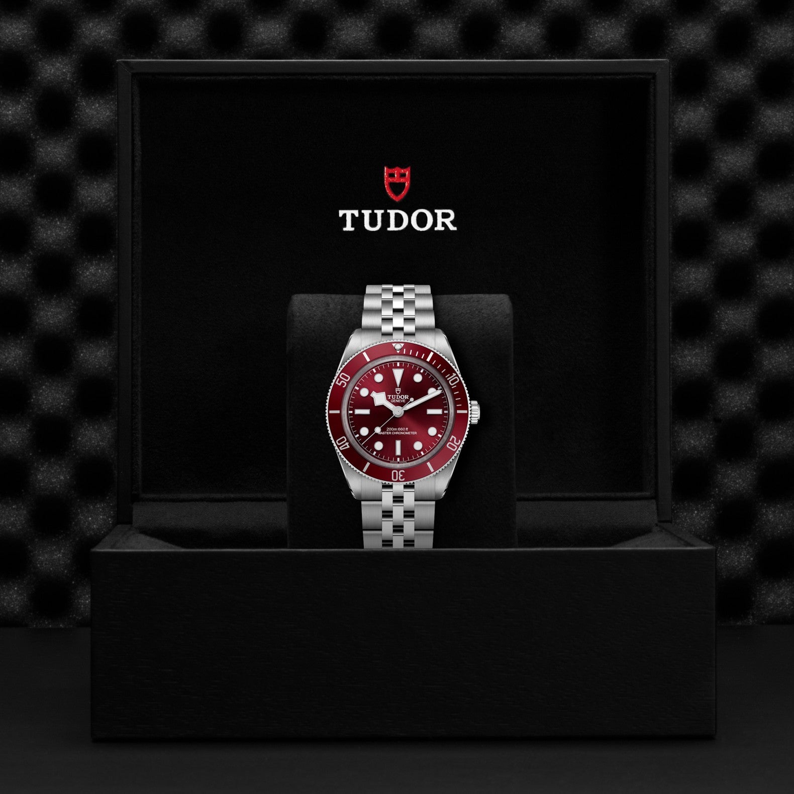 TUDOR Black Bay 58 39mm Watch M7939A1A0RU-0001
