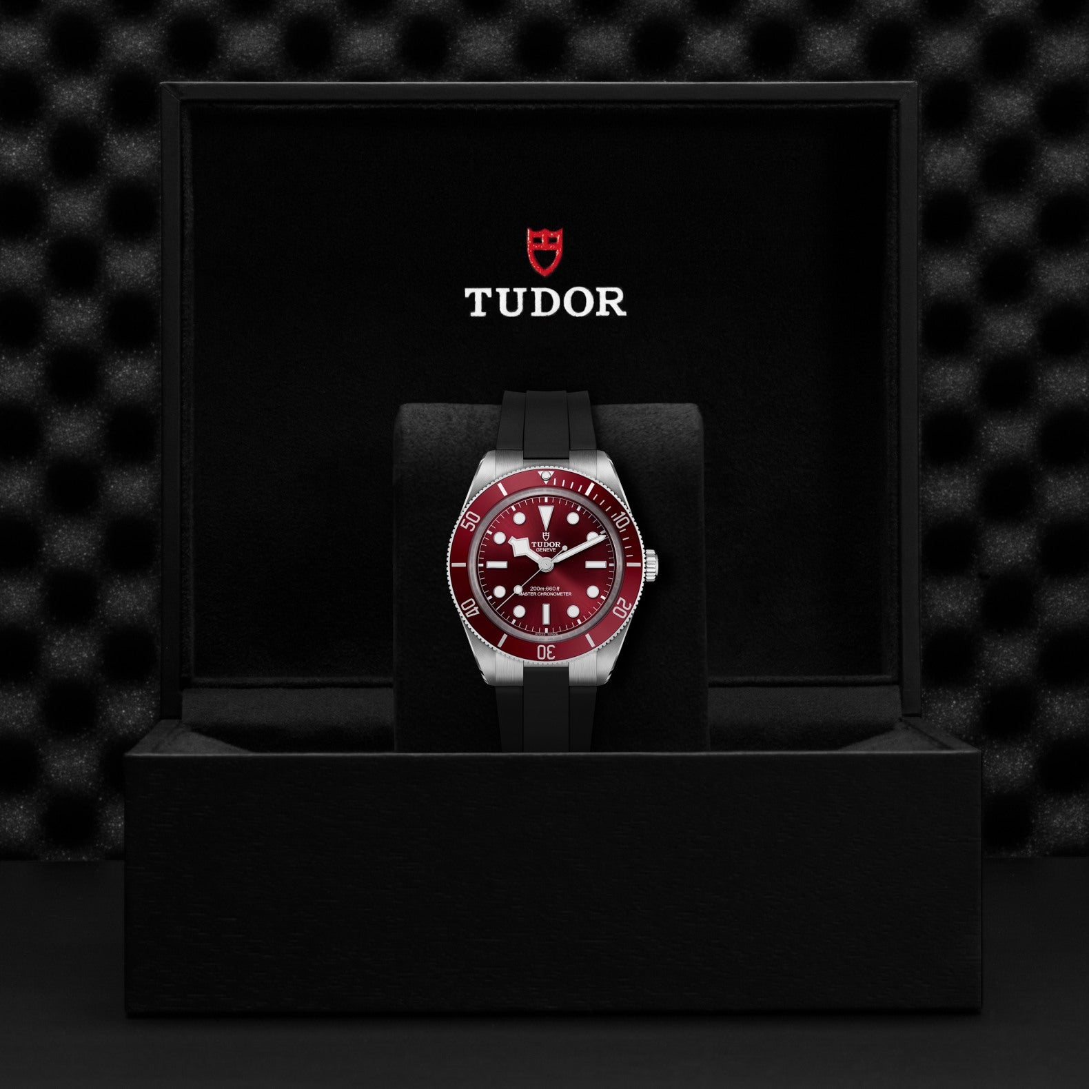 TUDOR Black Bay 58 39mm Watch M7939A1A0RU-0003