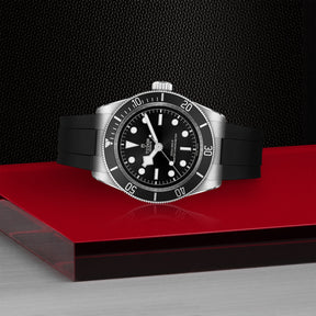 TUDOR Black Bay 41mm Watch M7941A1A0NU-0002