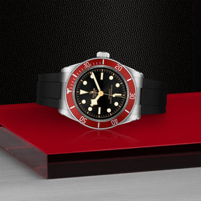 TUDOR Black Bay 41mm Watch M7941A1A0RU-0002