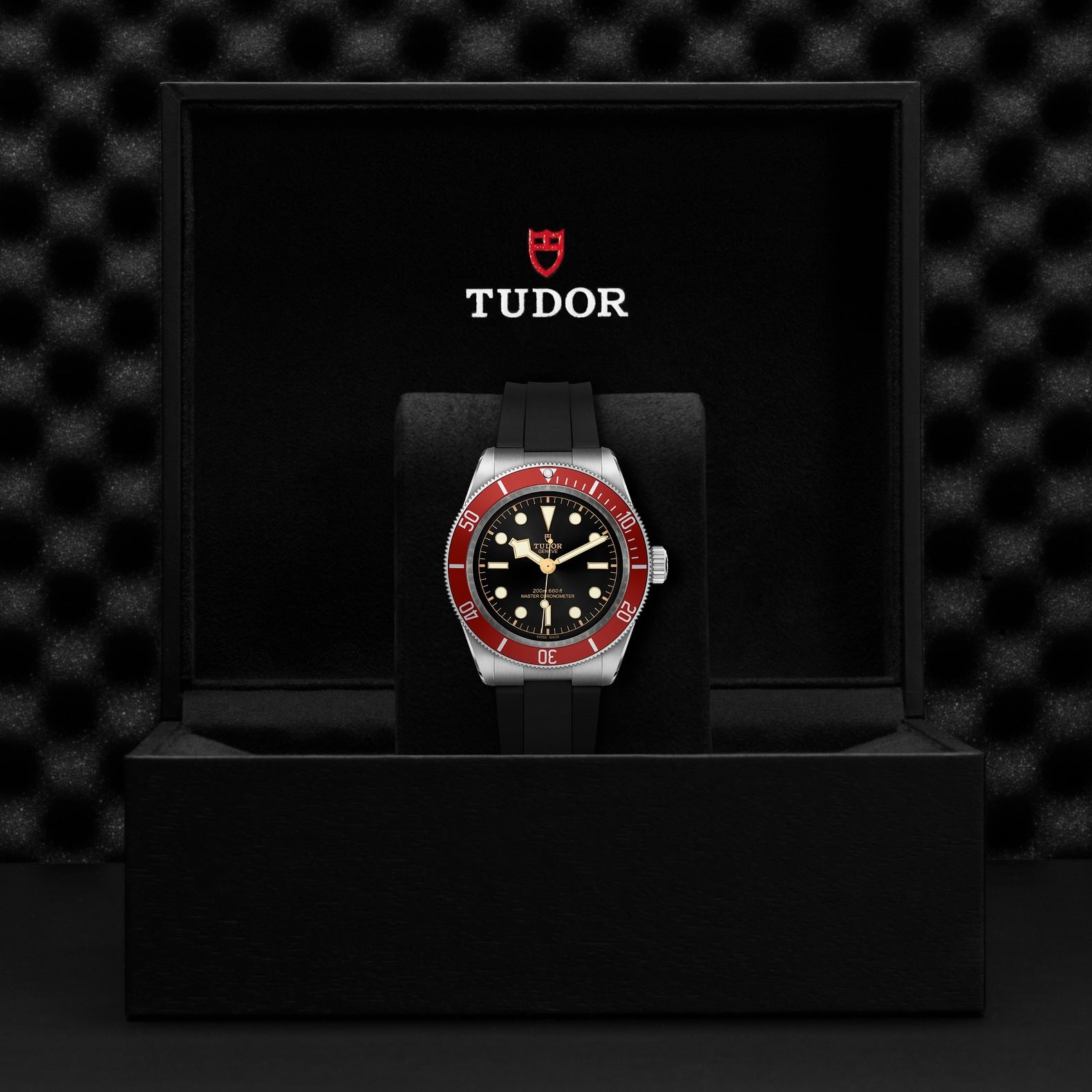 TUDOR Black Bay 41mm Watch M7941A1A0RU-0002