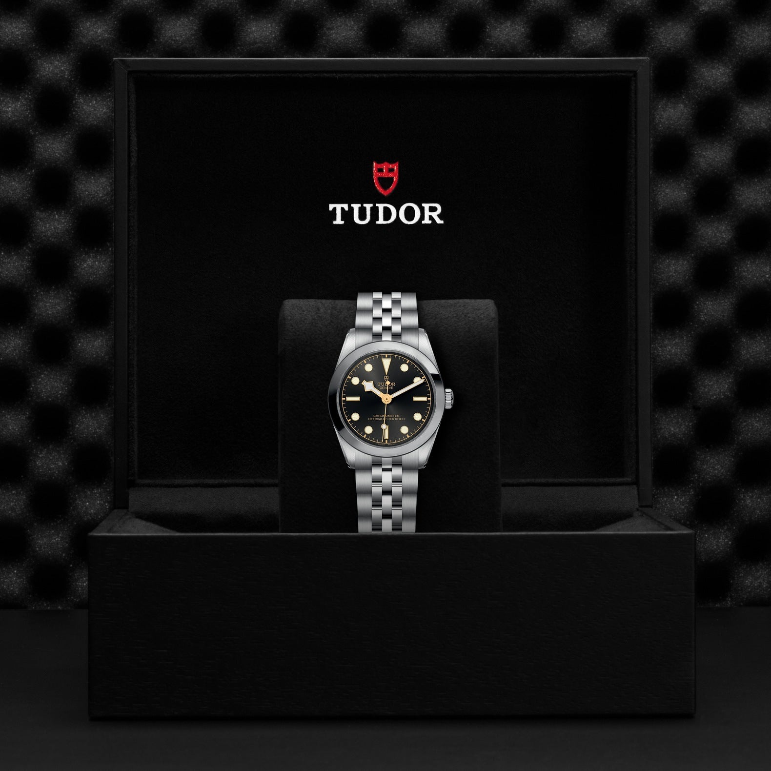 TUDOR Black Bay 31mm Watch M79600-0001