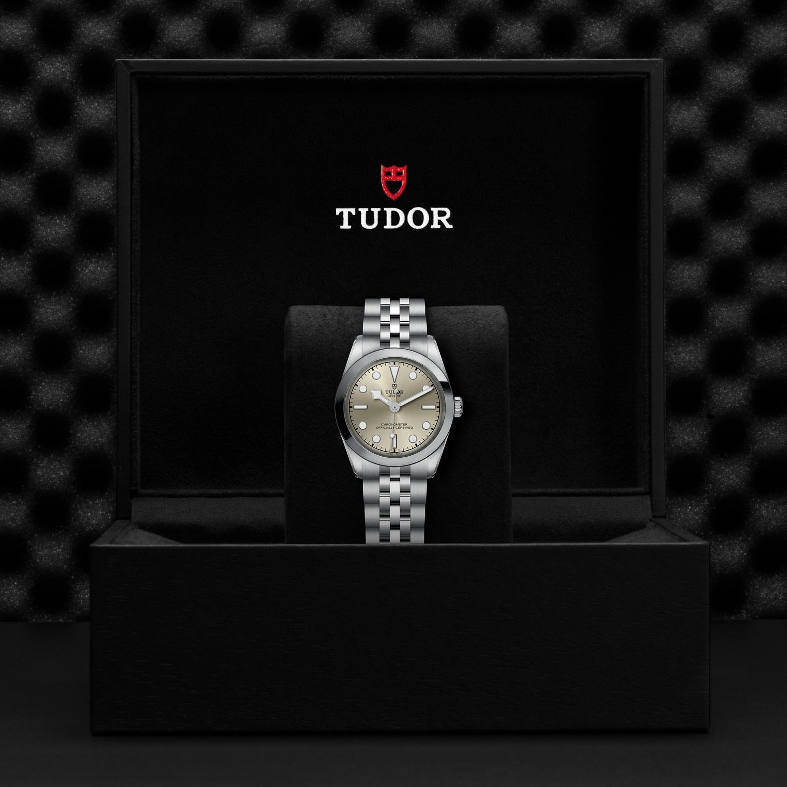 TUDOR Black Bay 31mm Watch M79600-0003TUDOR Black Bay 31mm Watch M79600-0003