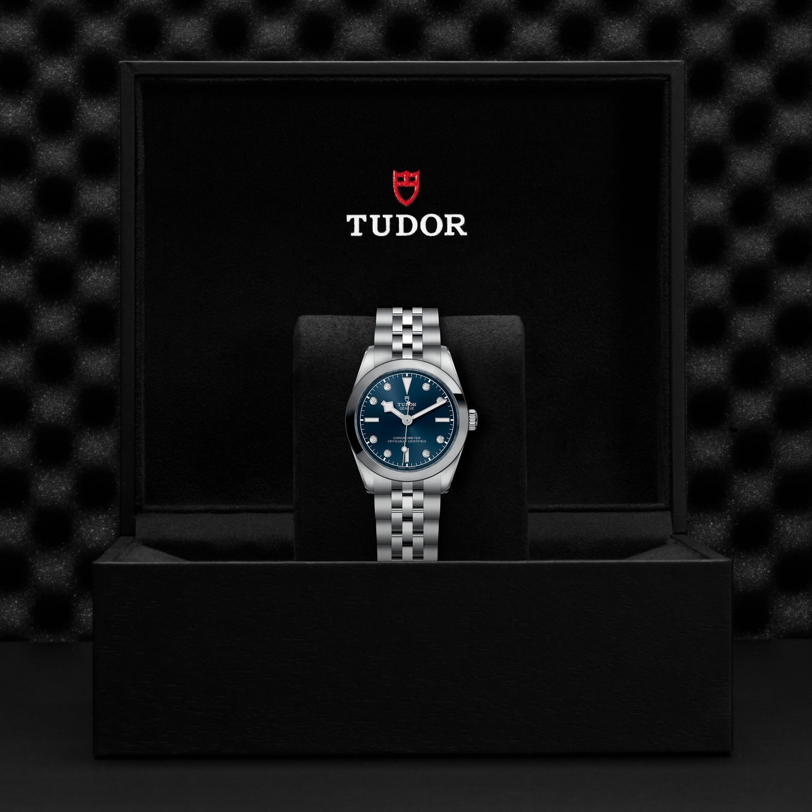 TUDOR Black Bay 31mm Watch M79600-0005
