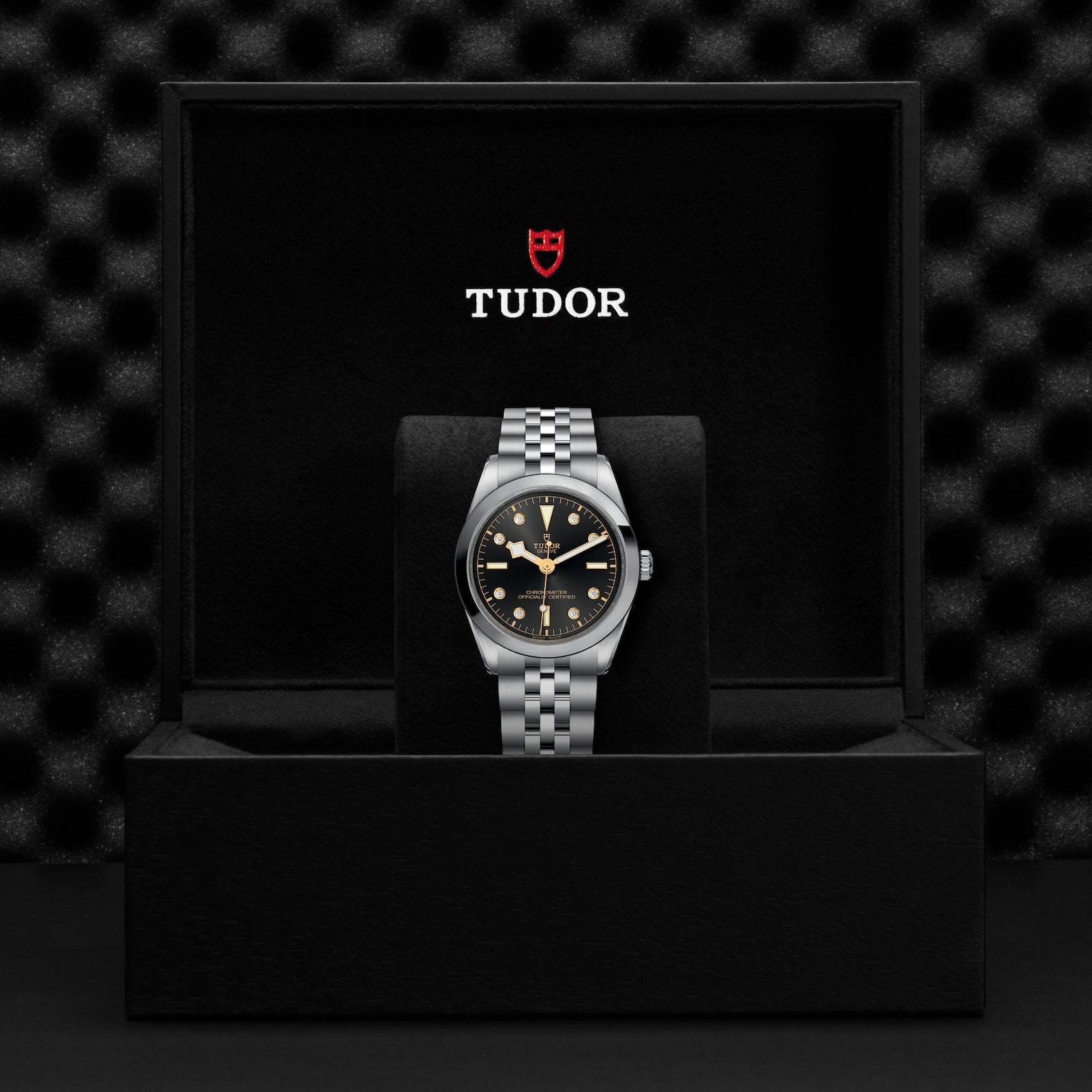 TUDOR Black Bay 36mm Watch M79640-0004