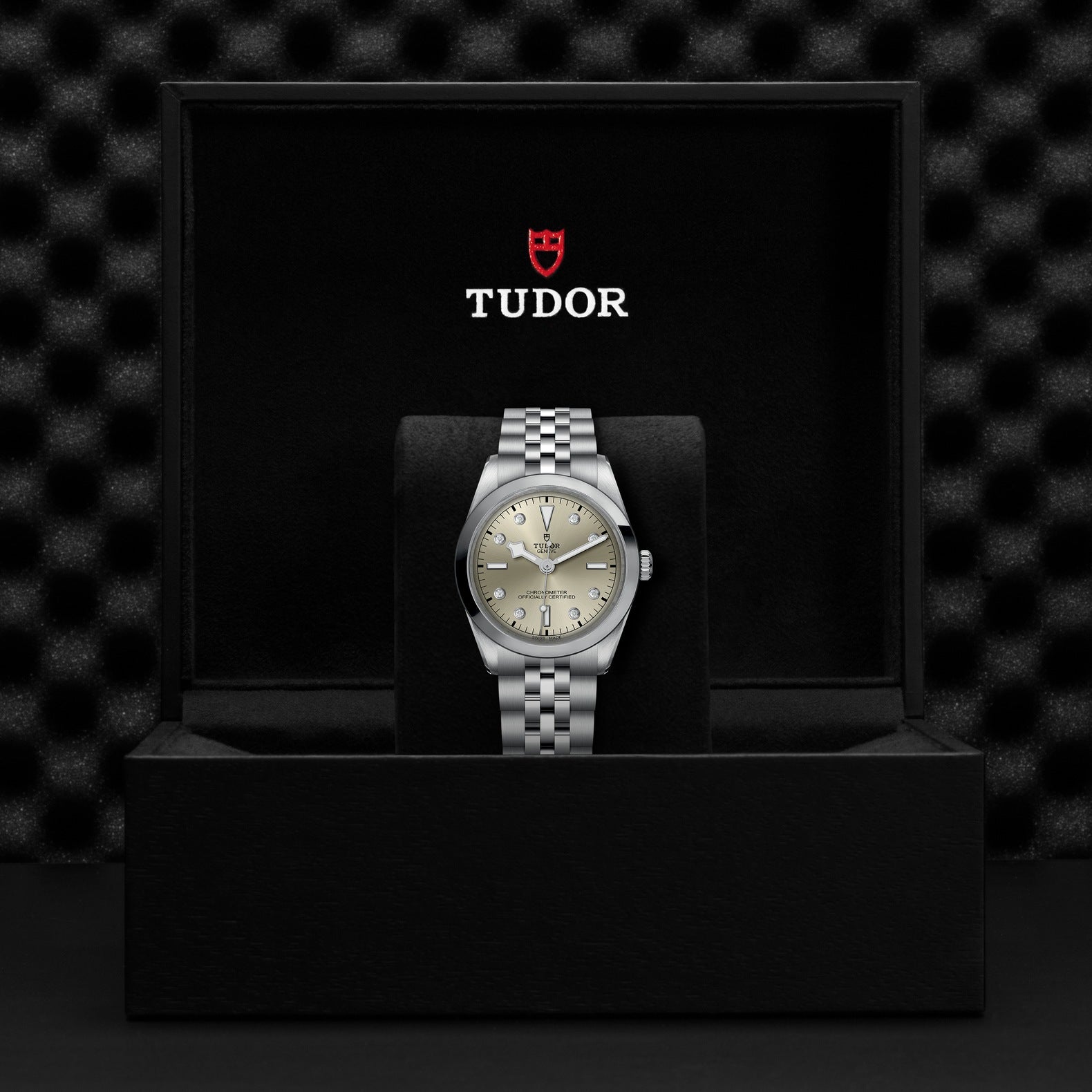 TUDOR Black Bay 36mm Watch M79640-0006