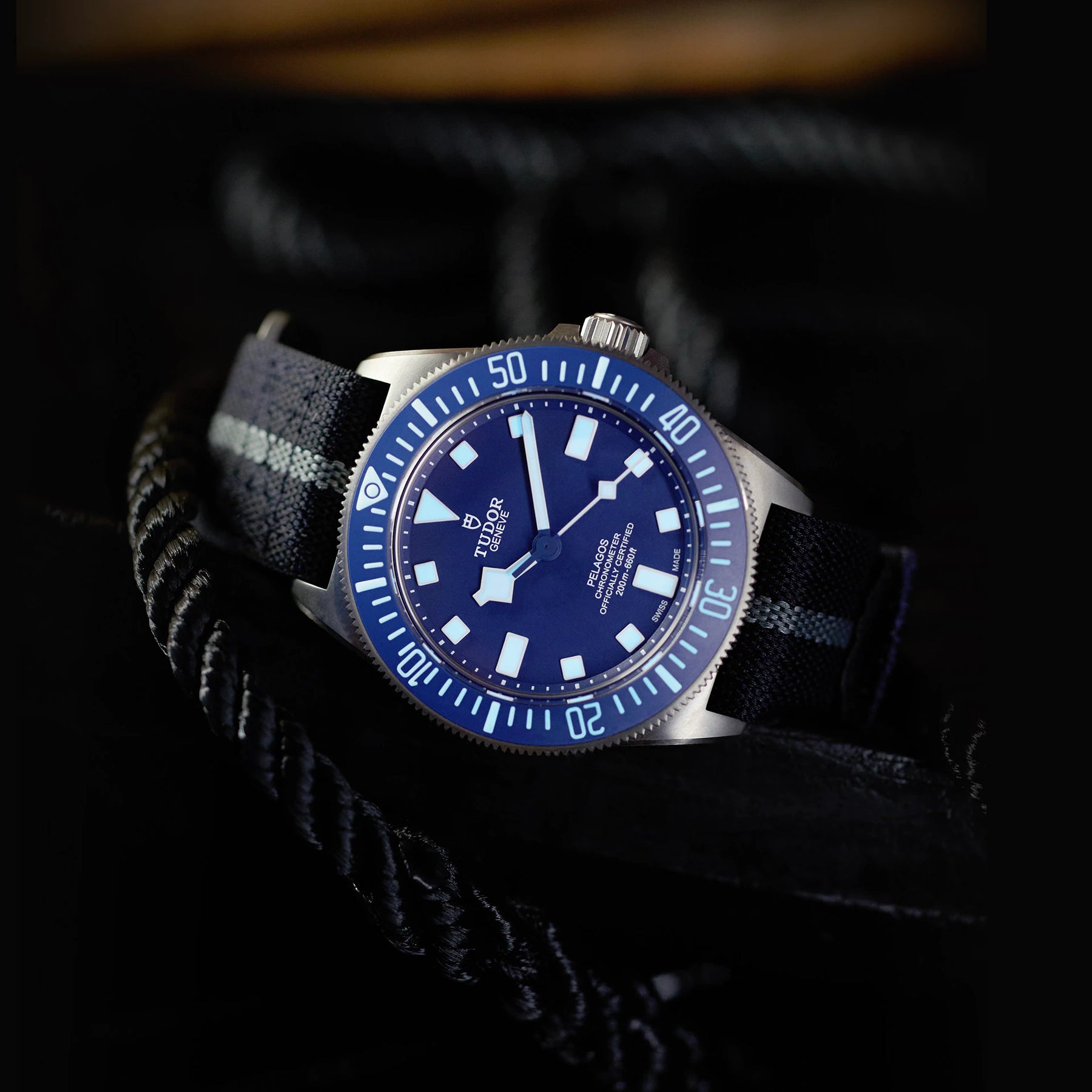 TUDOR Pelagos FXD 42mm Watch M25707B/24-0001