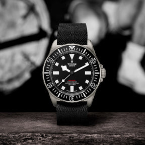 TUDOR Pelagos FXD 42mm Watch M25717N-0001