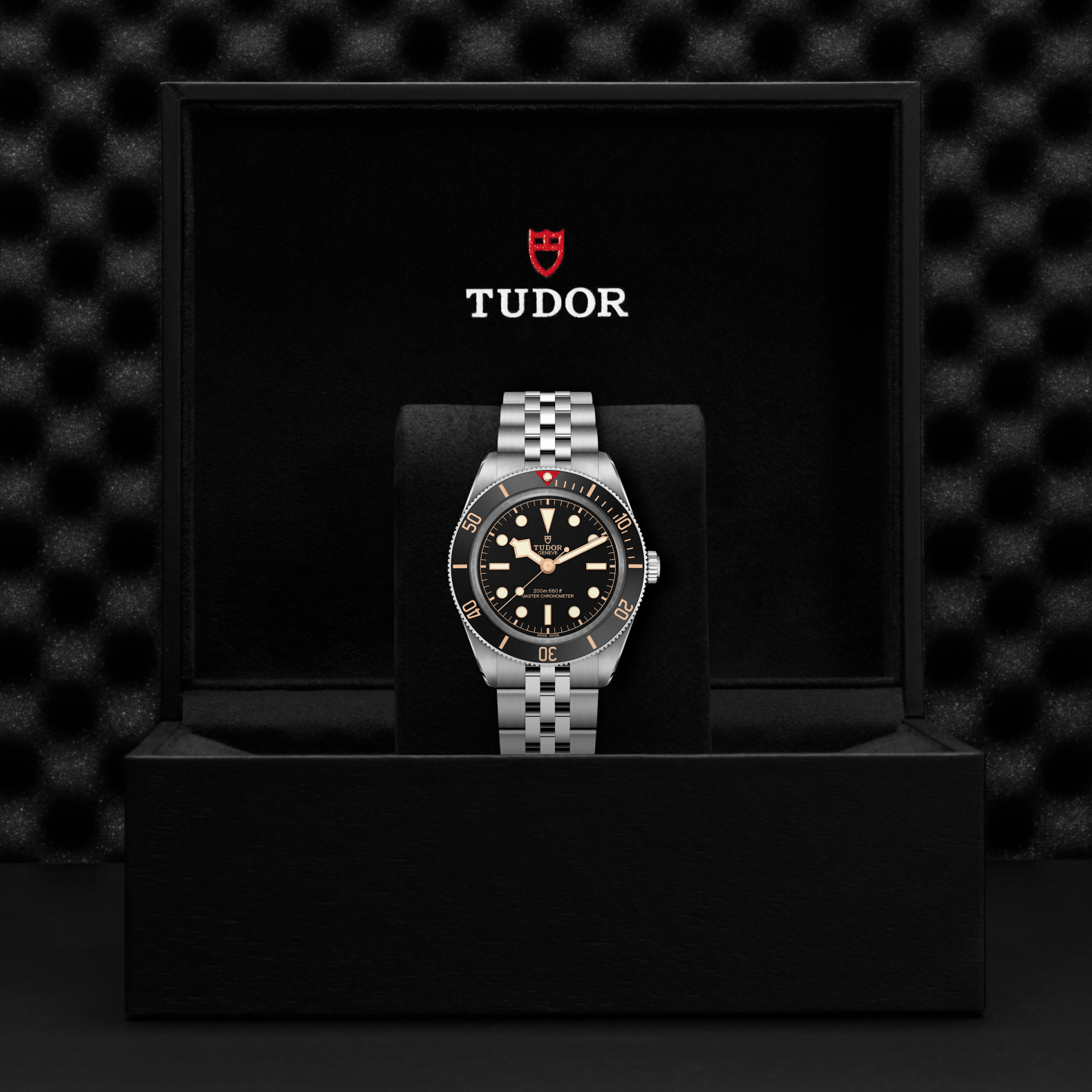 TUDOR Black Bay 58 39mm Watch M7939A1A0NU-0001