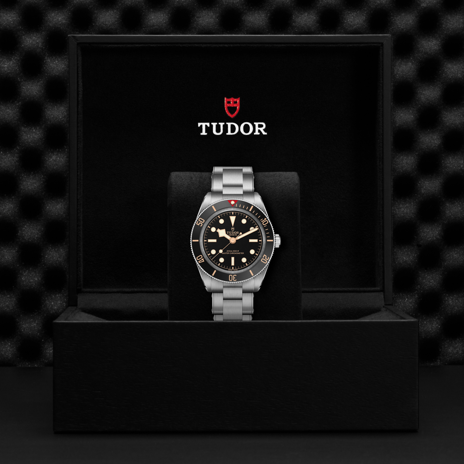 TUDOR Black Bay 58 39mm Watch M7939A1A0NU-0002