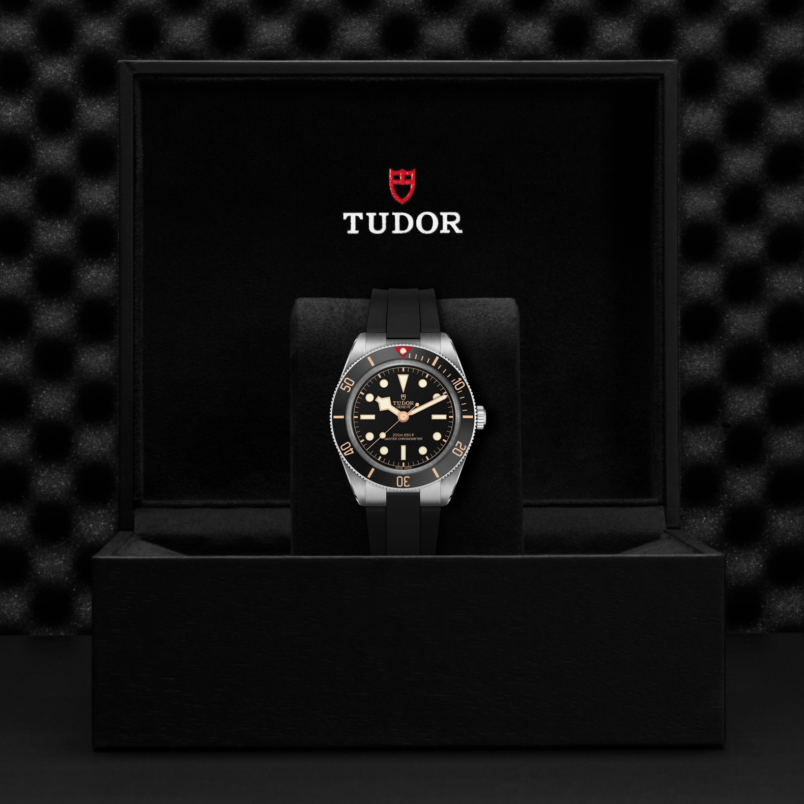 TUDOR Black Bay 58 39mm Watch M7939A1A0NU-0003