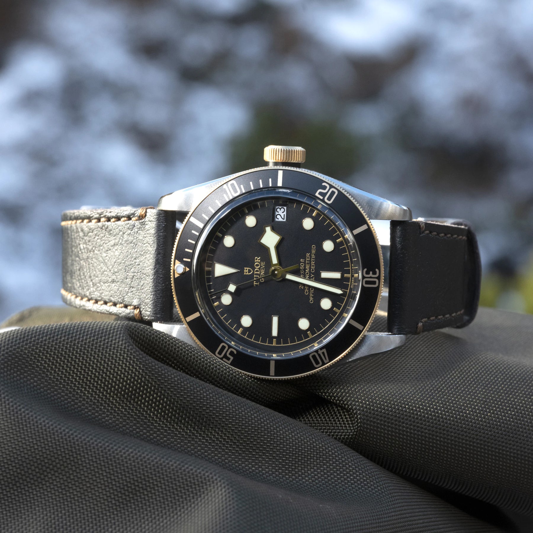 TUDOR Black Bay S&G 41mm Watch M79733N-0007
