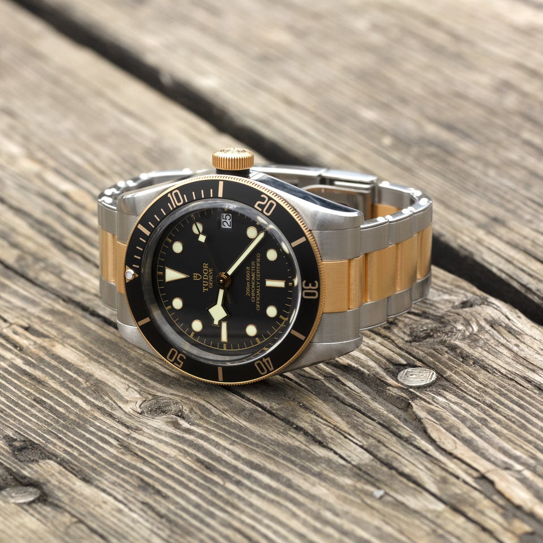 TUDOR Black Bay S&G 41mm Watch M79733N-0008