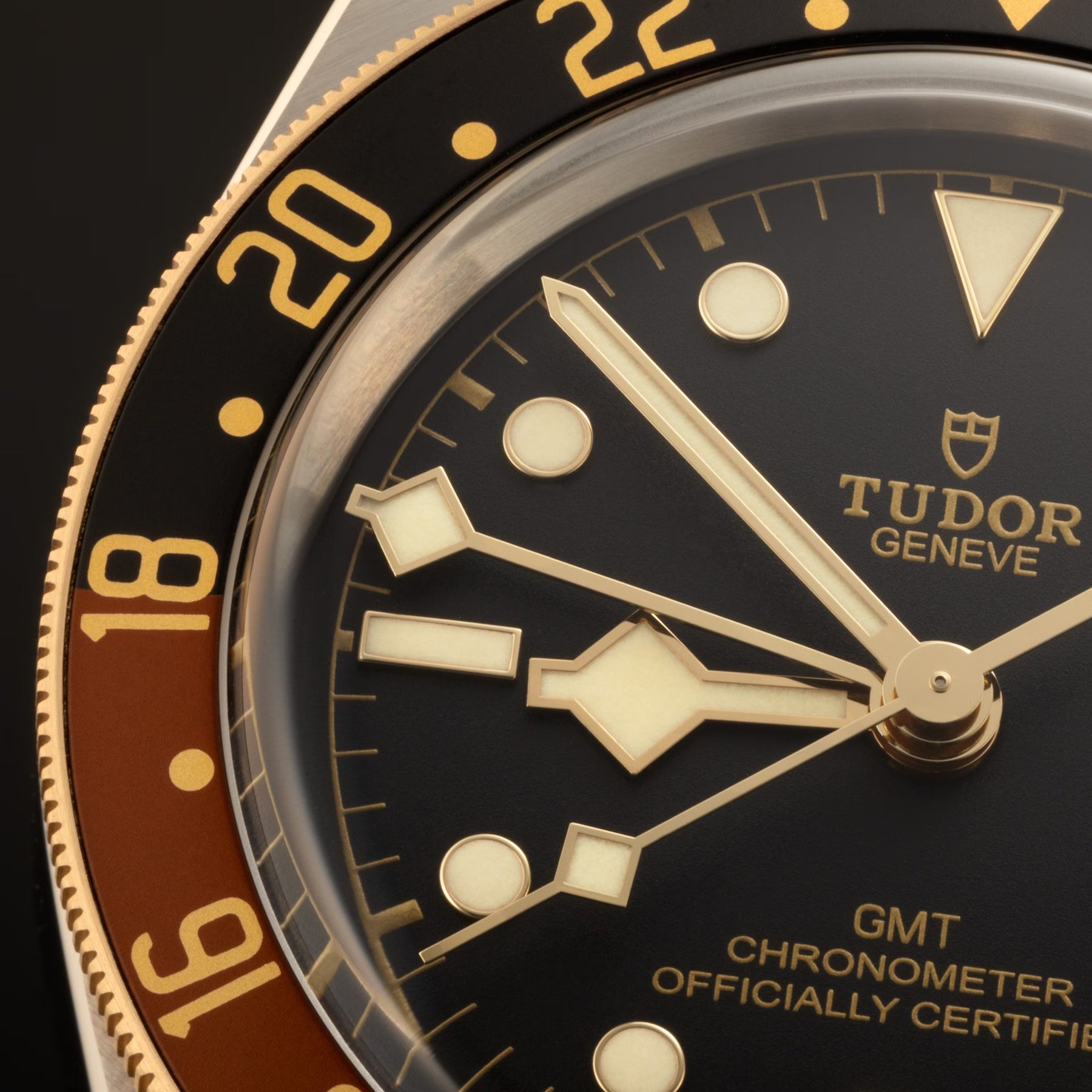TUDOR Black Bay GMT S&G 41mm Watch M79833MN-0003