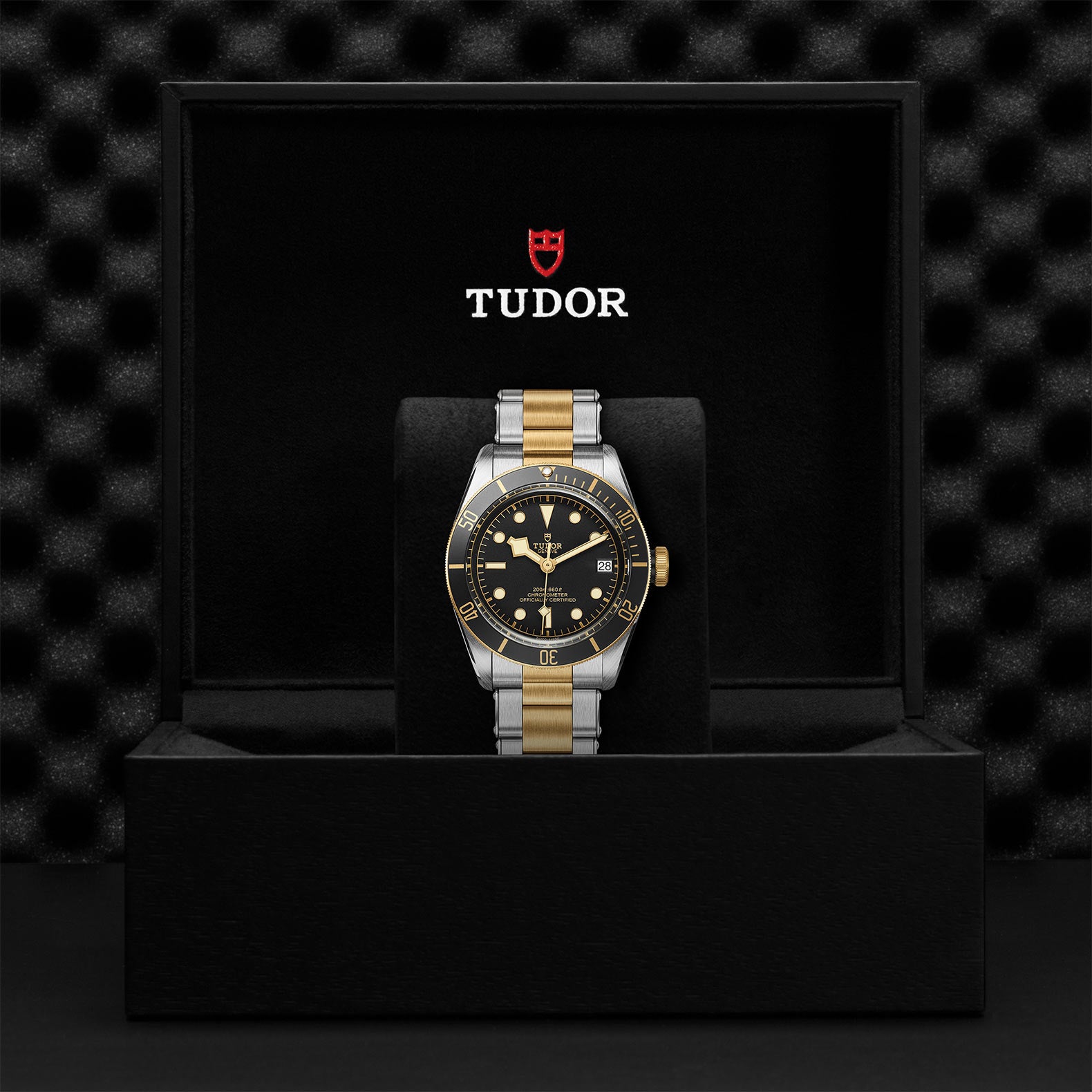 Black Bay S&G 41mm Mens Watch M79733N-0008