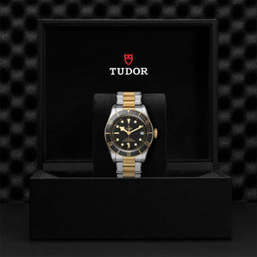 Black Bay S&G 41mm Mens Watch M79733N-0008